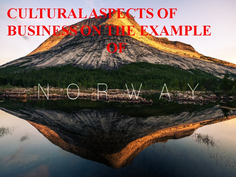 CULTURAL ASPECTS OF BUSINESS ON THE EXAMPLE       